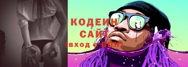 ECSTASY Алзамай