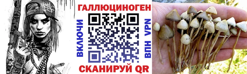 MEGA ссылки  Узловая  Галлюциногенные грибы Cubensis 